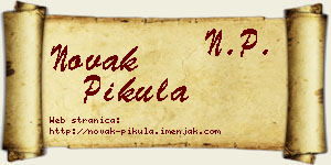 Novak Pikula vizit kartica